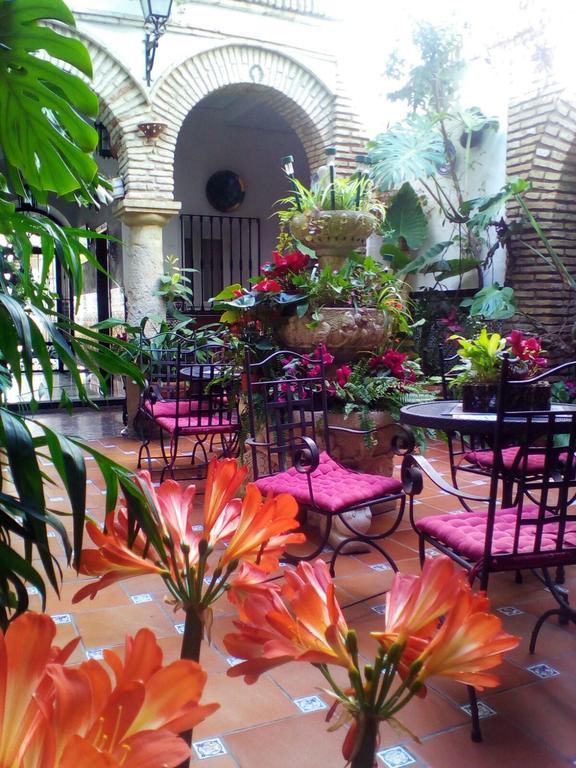 Los Arcos