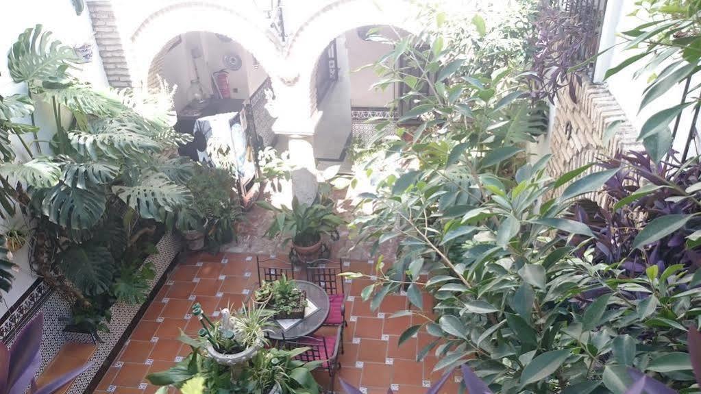 Pensjonat Los Arcos Kordoba