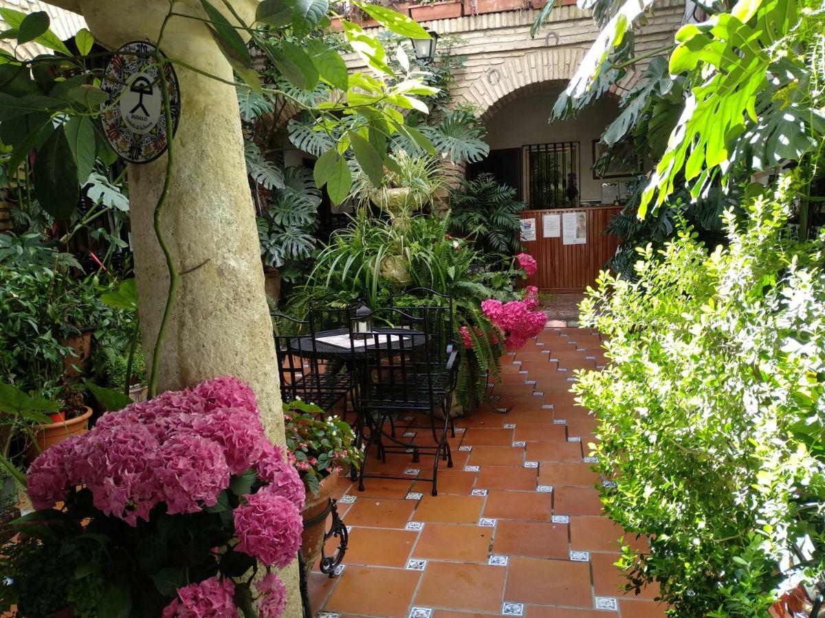 Casa de hóspedes Arcos