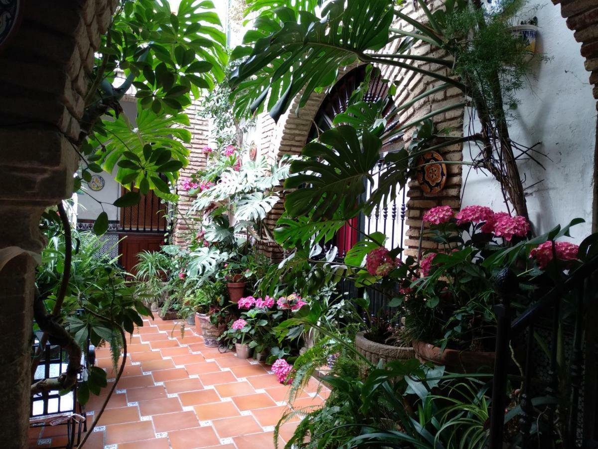 Arcos Casa de hóspedes Córdova